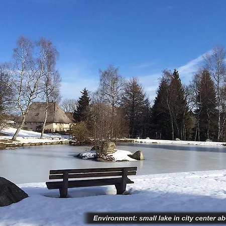 Spacious Quiet Duplex In The Middle Of Grassland, Private Sauna, Massage Sofa, Terrace, Garden